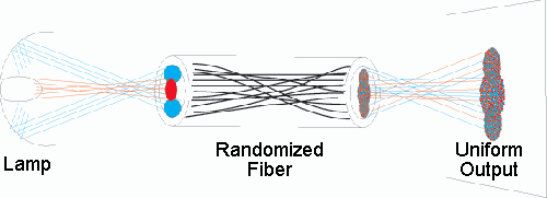 Randomized Fiber Bundle